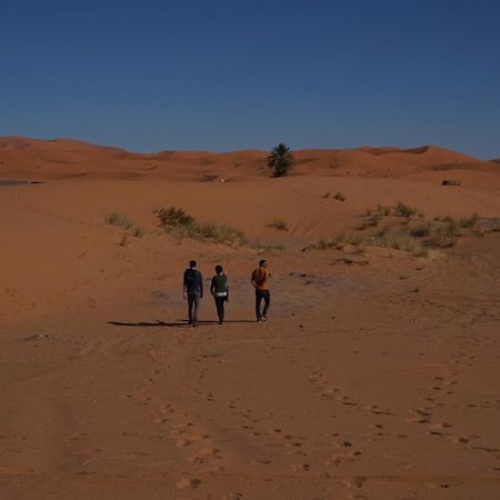 فندق Bivouac Camel Trips مرزوكة المظهر الخارجي الصورة