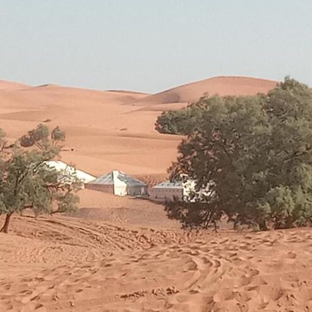 فندق Bivouac Camel Trips مرزوكة المظهر الخارجي الصورة