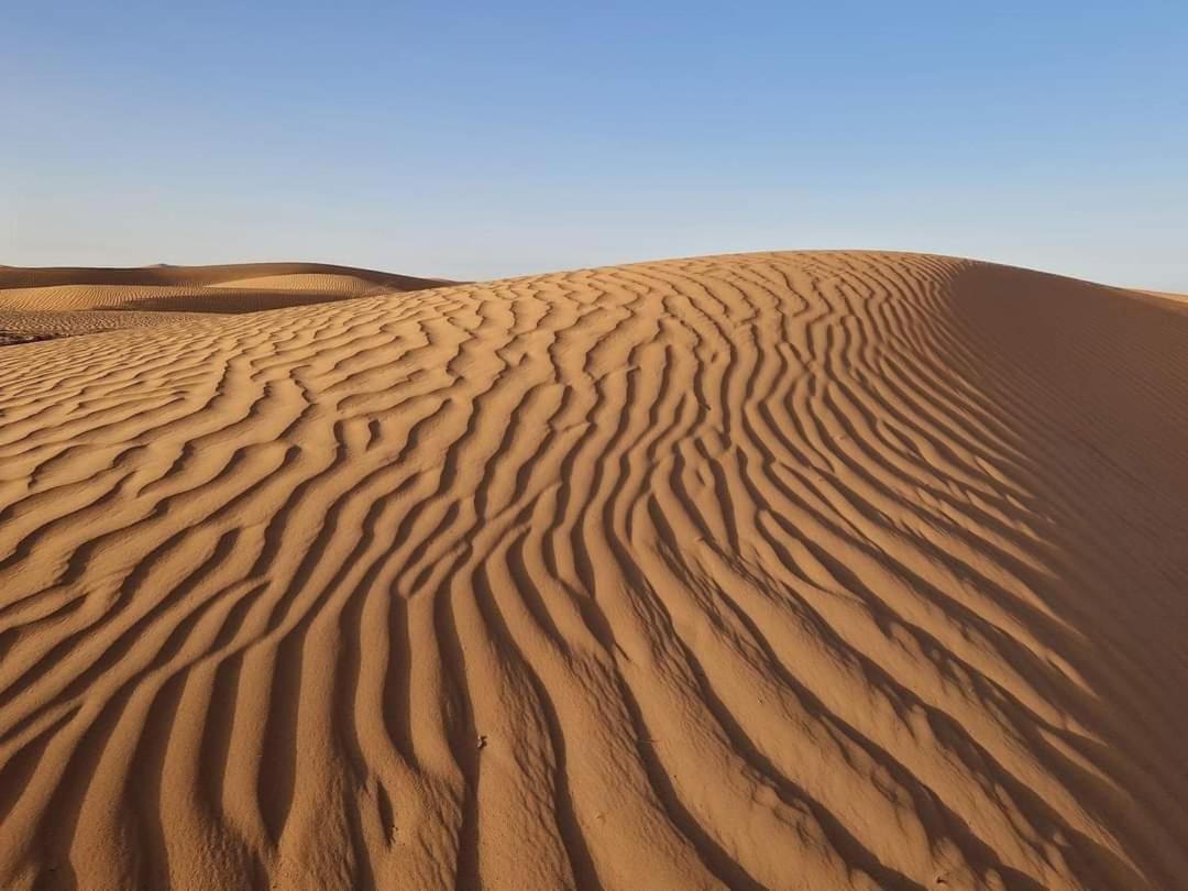 فندق Bivouac Camel Trips مرزوكة المظهر الخارجي الصورة