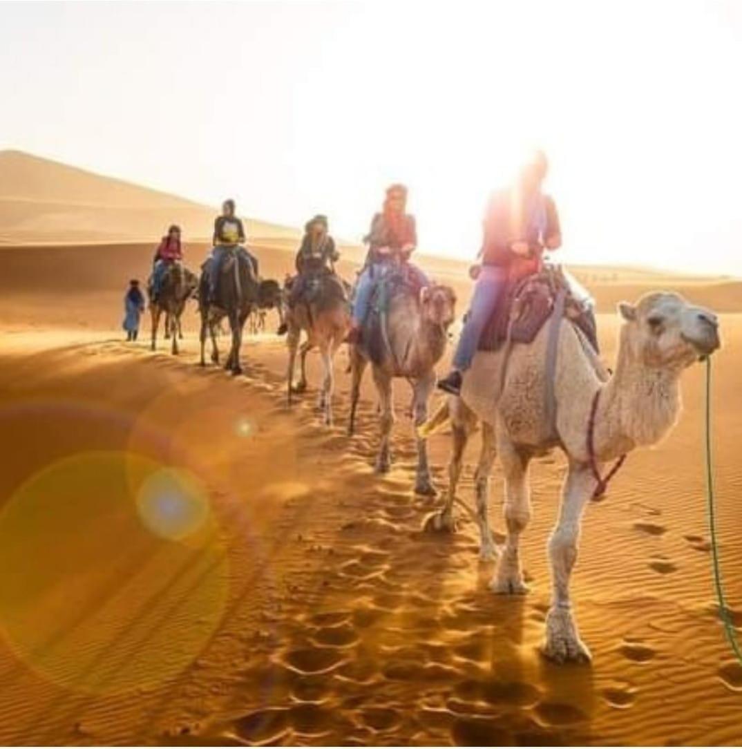 فندق Bivouac Camel Trips مرزوكة المظهر الخارجي الصورة
