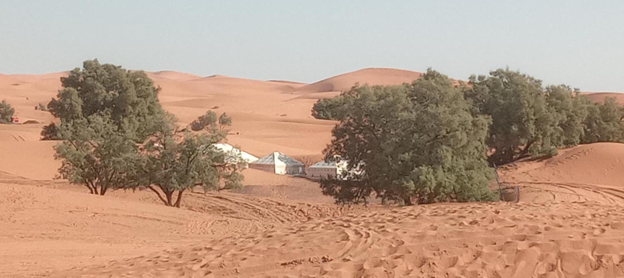 فندق Bivouac Camel Trips مرزوكة المظهر الخارجي الصورة