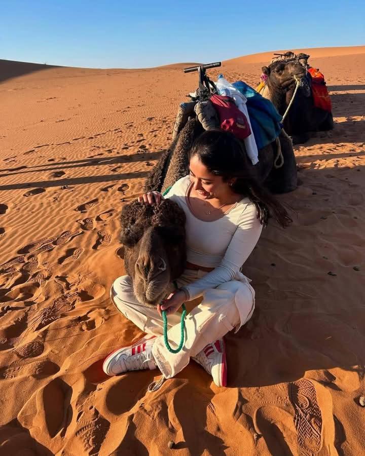 فندق Bivouac Camel Trips مرزوكة المظهر الخارجي الصورة