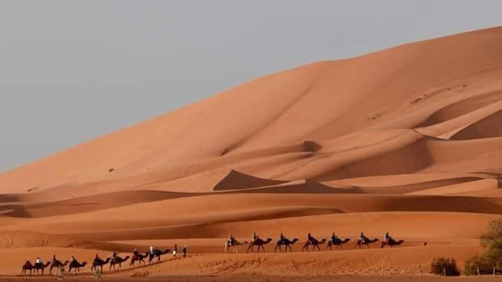 فندق Bivouac Camel Trips مرزوكة المظهر الخارجي الصورة
