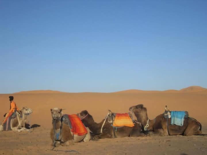 فندق Bivouac Camel Trips مرزوكة المظهر الخارجي الصورة