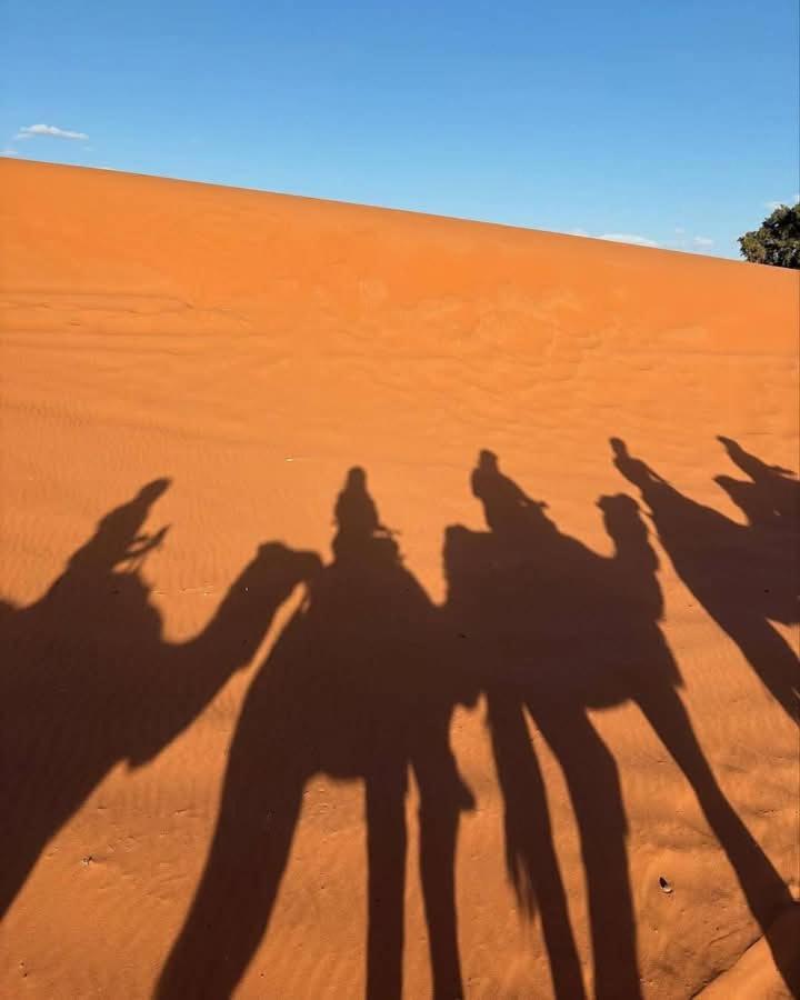 فندق Bivouac Camel Trips مرزوكة المظهر الخارجي الصورة