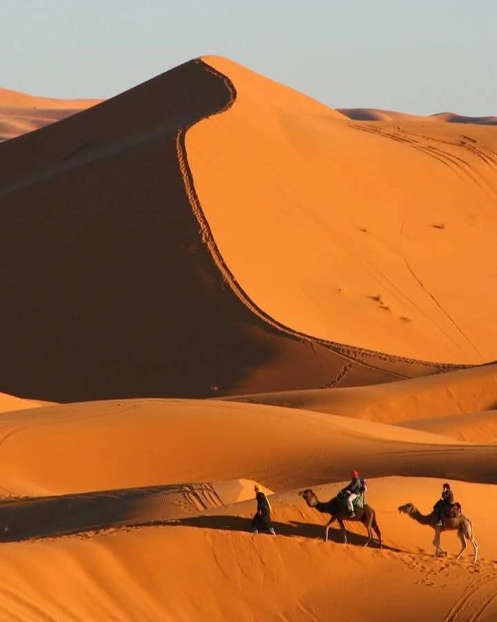 فندق Bivouac Camel Trips مرزوكة المظهر الخارجي الصورة